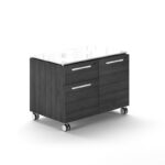 Mobile combo storage unit