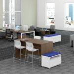 DS-PLT4172